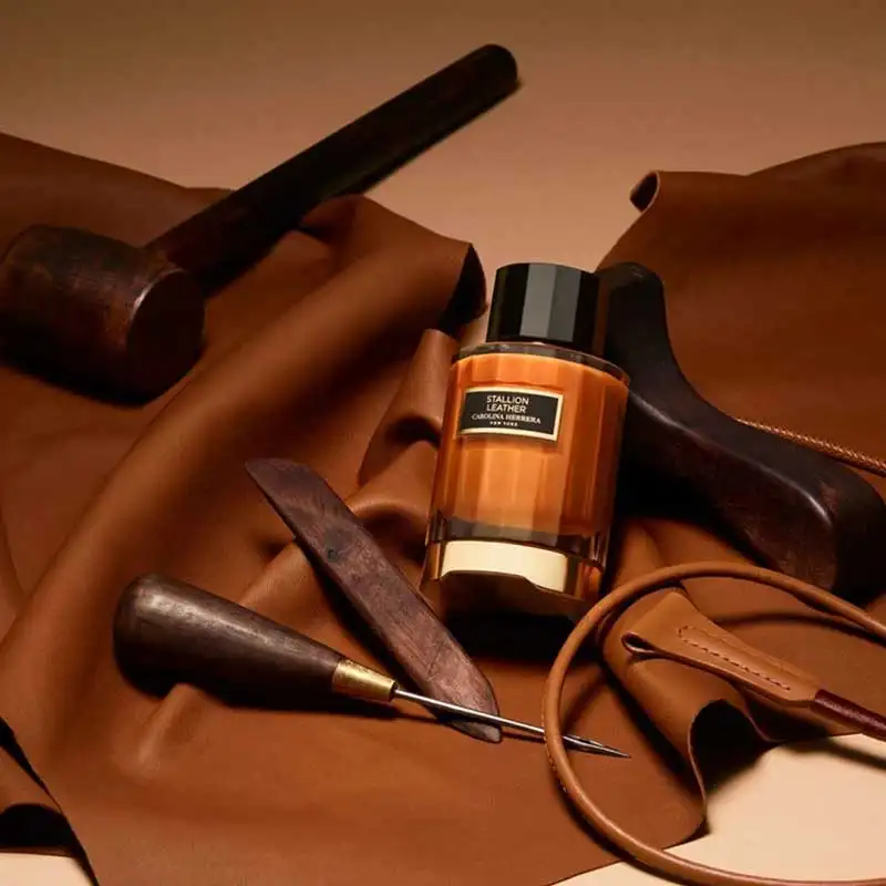 ادکلن زنانه مردانه ابسلوت لدر فراگرانس ورد