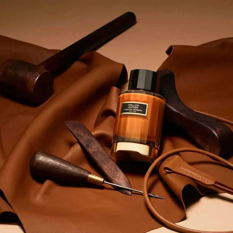 ادکلن زنانه مردانه ابسلوت لدر فراگرانس ورد