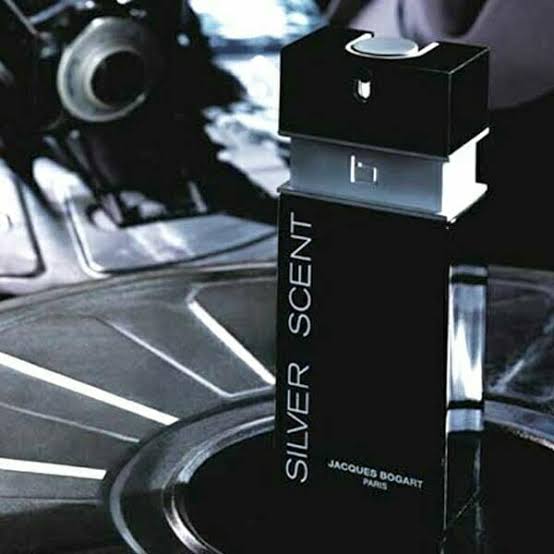عطر ادکلن مردانه سیلور سنت
